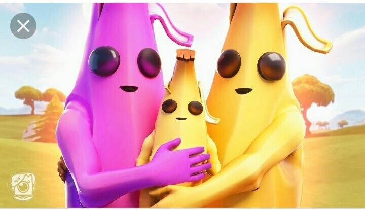 famiglia banana