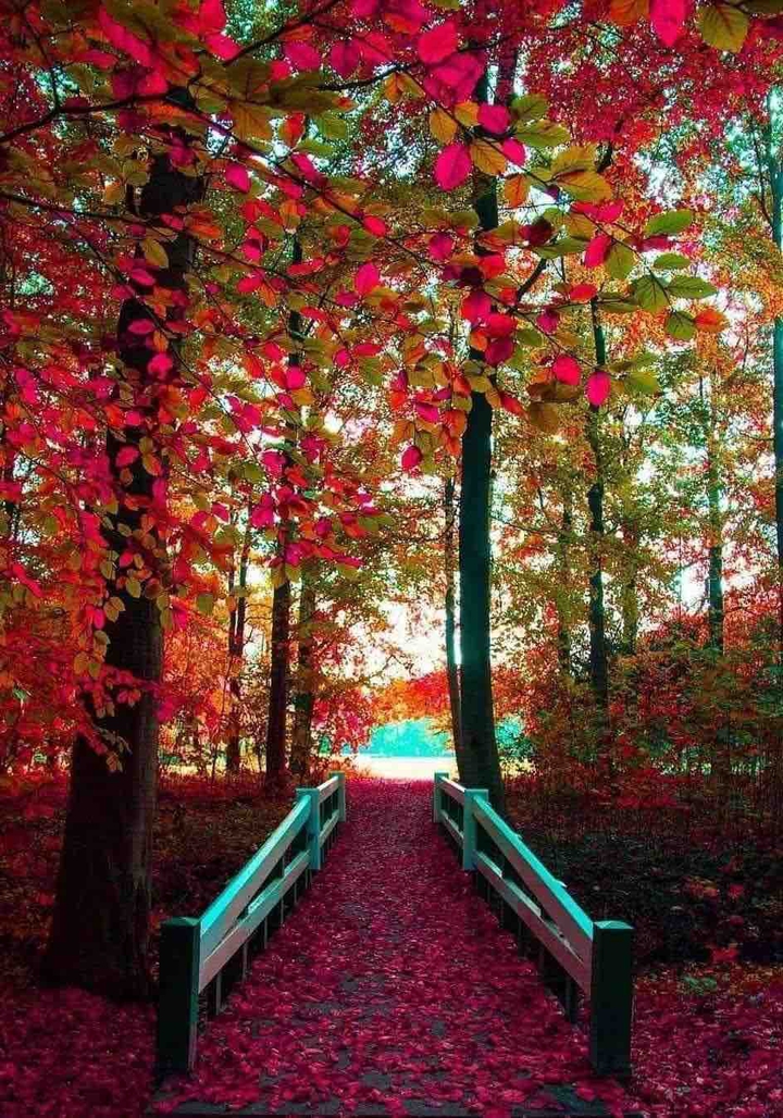 ❤️❤️