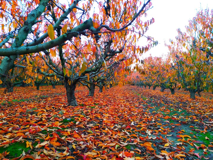 Otoño