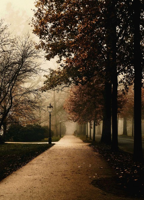 Alone why'