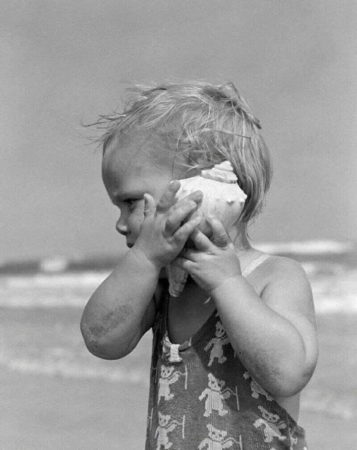 shell 