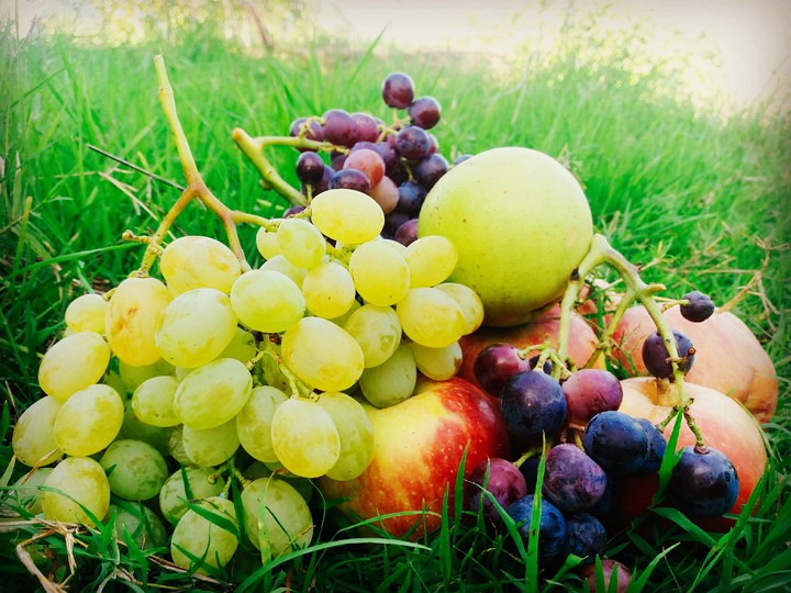 Fruits فواكه