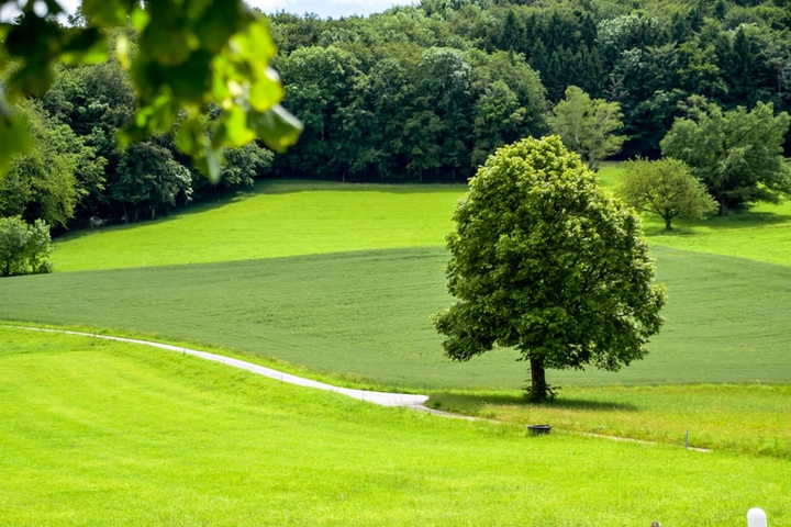 Switzerland Nature Photography