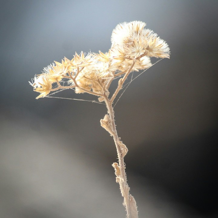 beauty of the nature.