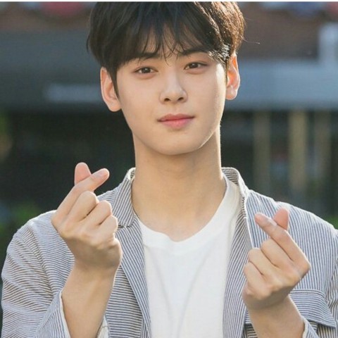 Korean actor ChaEunwoo