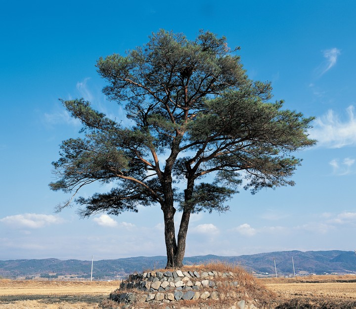 풍경