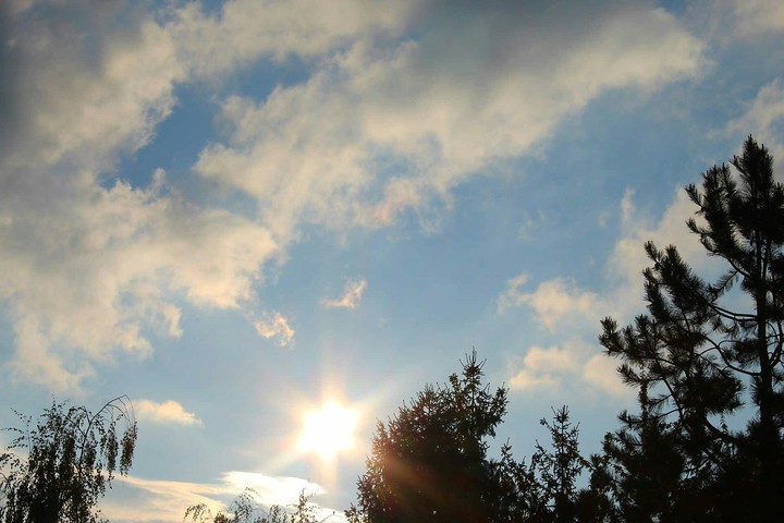 sunny day