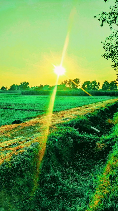 landscape, Water wallpapers