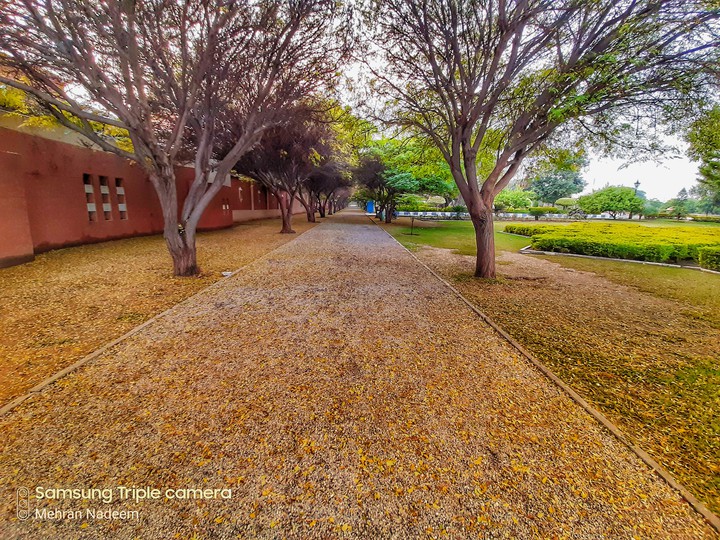 Autumn Season