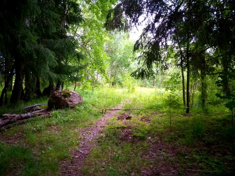 12.07.2019 г.