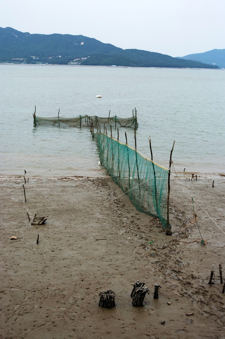 Netting