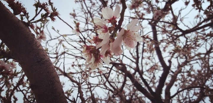 Spring