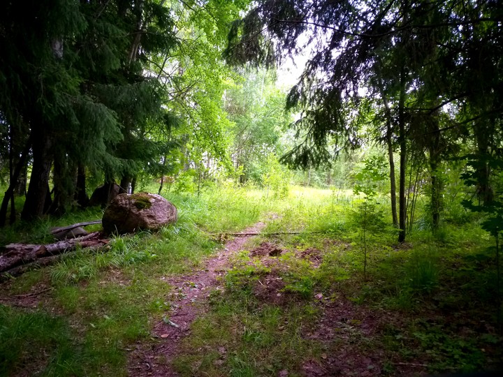 12.07.2019 г.