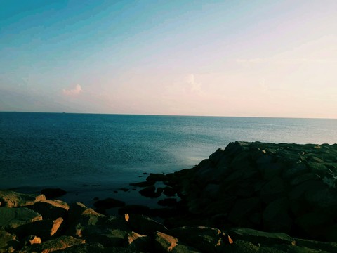 ordu