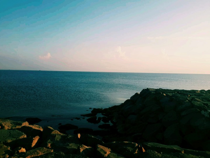 ordu