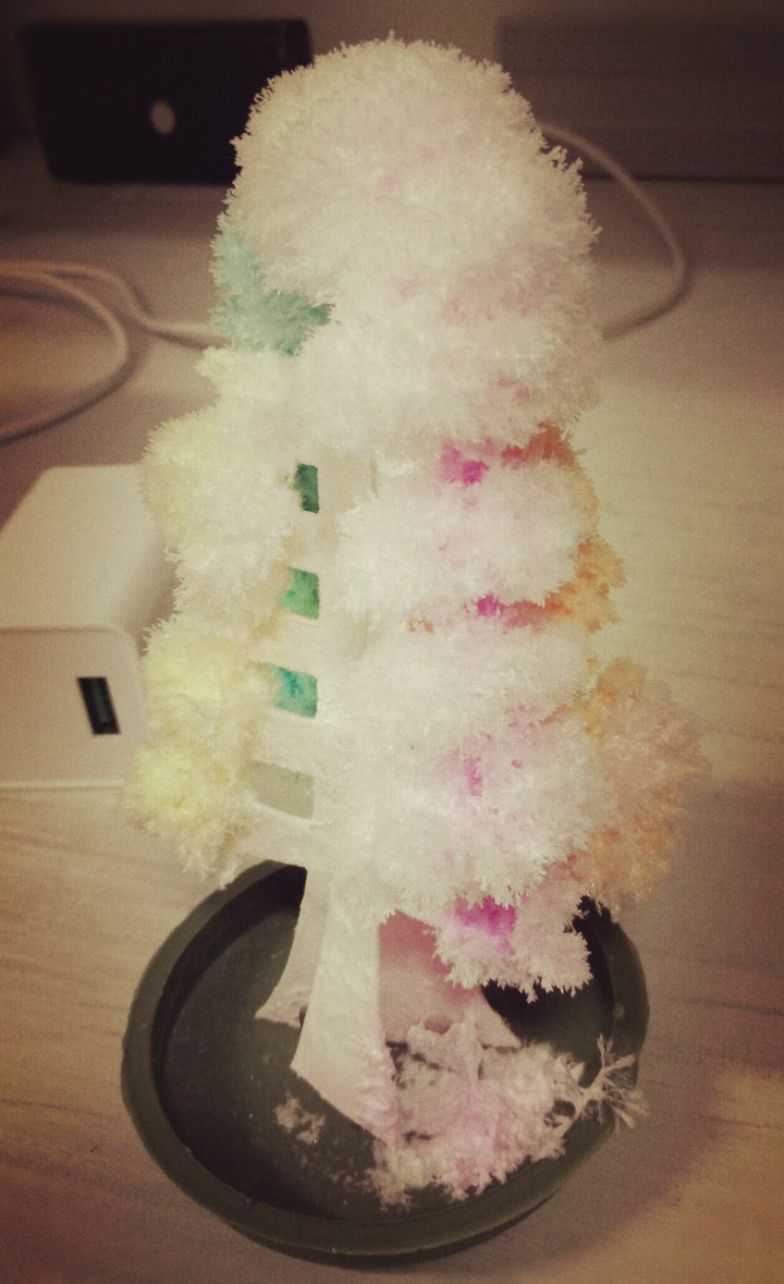 small tree