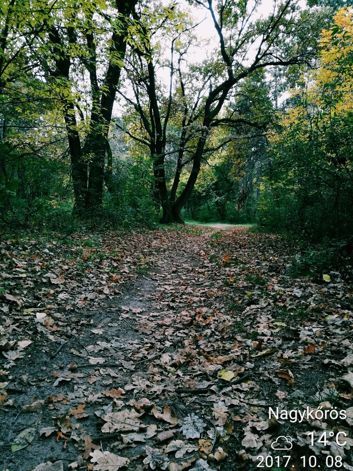 beautiful autumn
