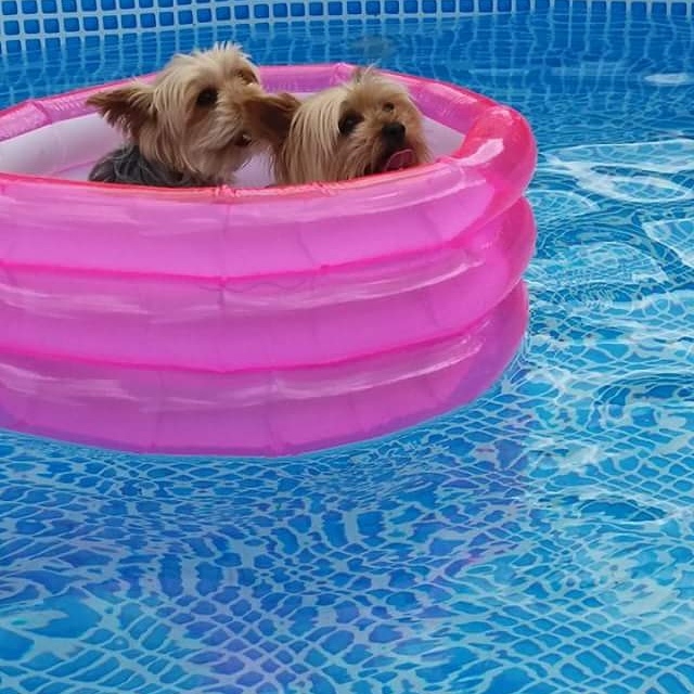 premier tour en piscine