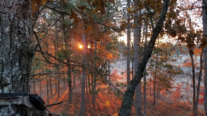sunrise on a chilly morning