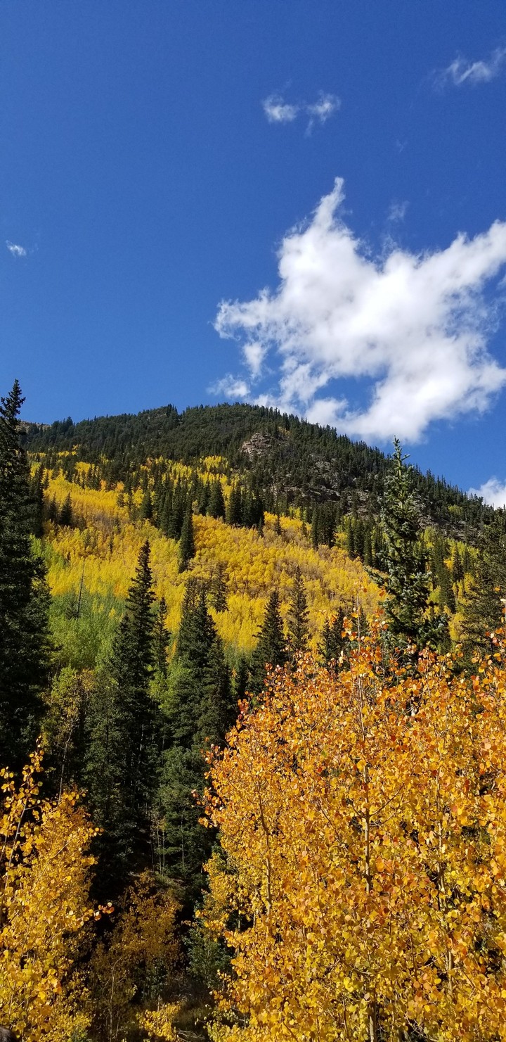 Colorado Fall