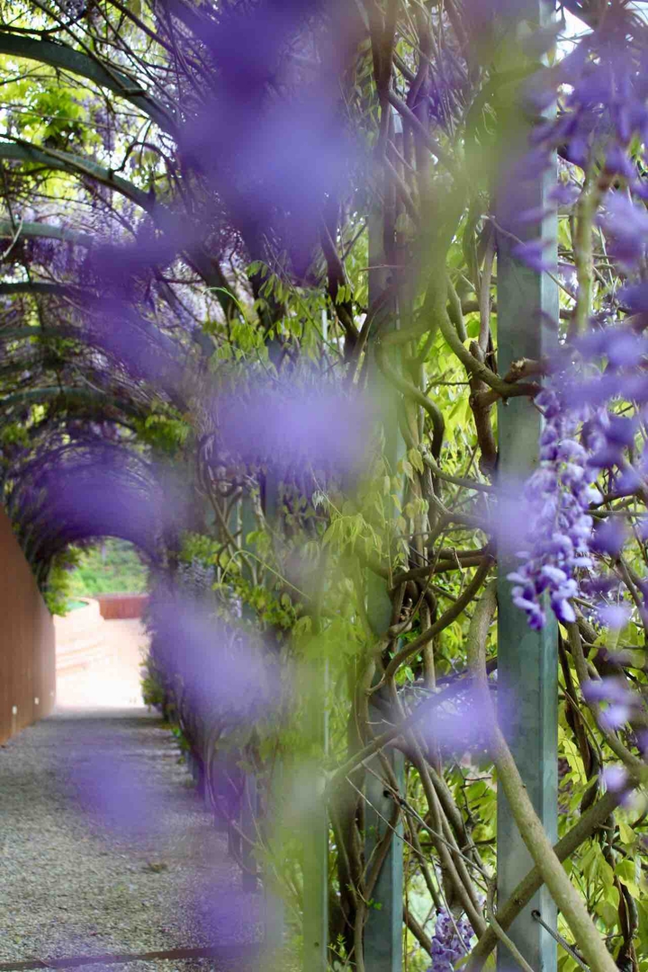 bower