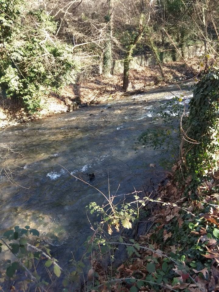 River