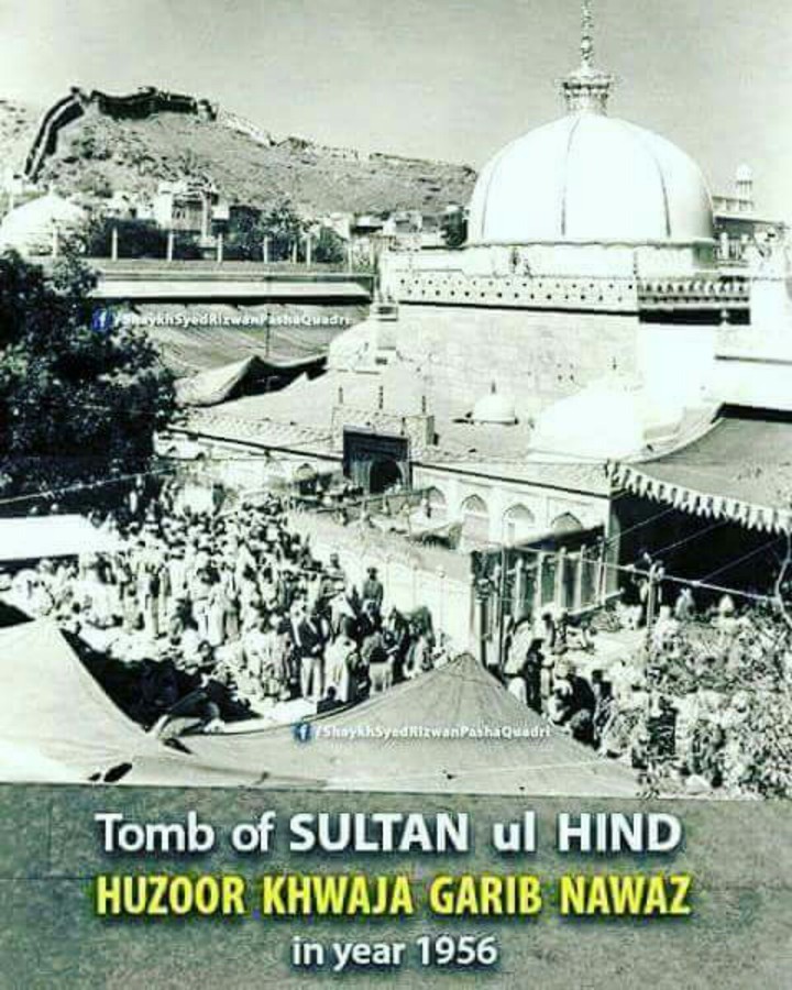 in year. 1956