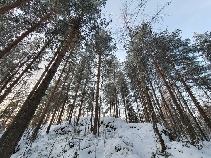 декабрь3