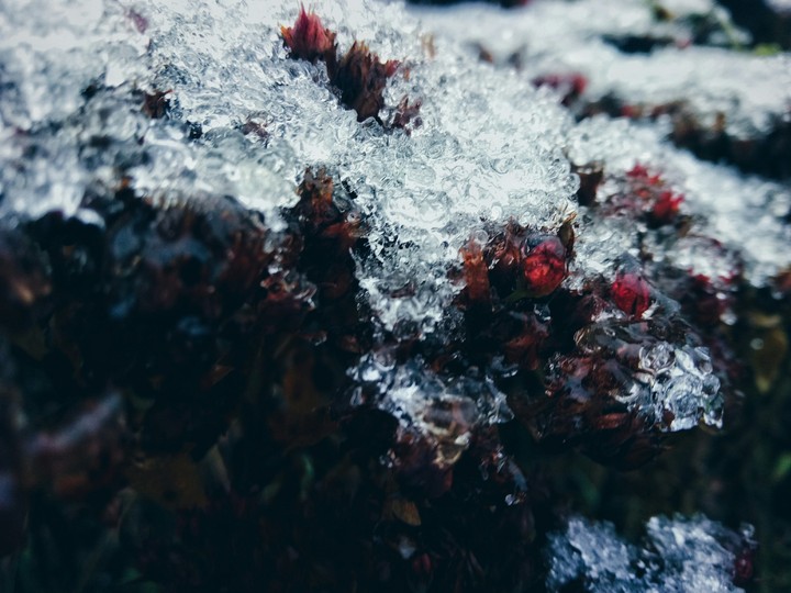 winter