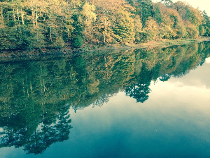 Autumn