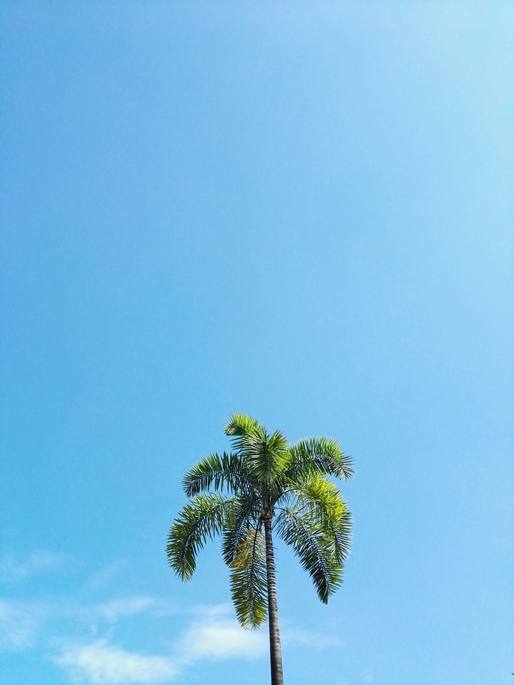 feel like in the beach