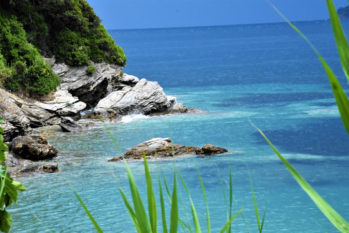 blue sea