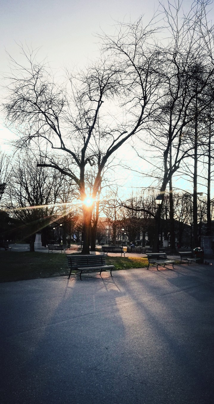 sunset