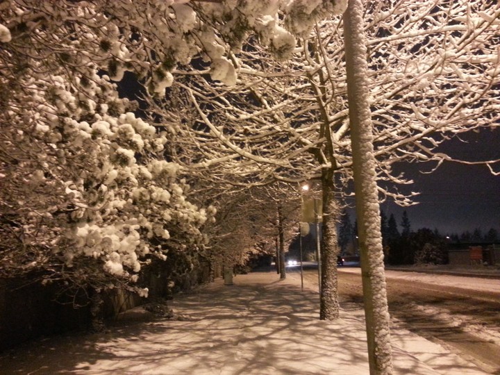Snow