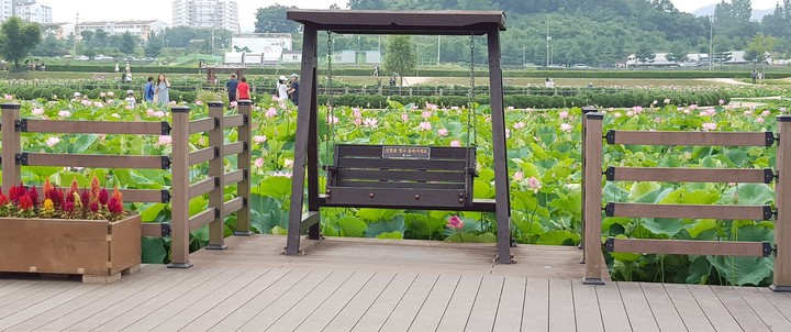 연꽃 벤치