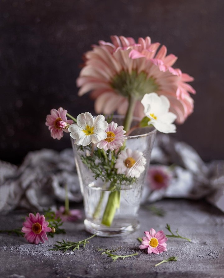 Still-life