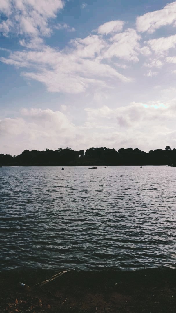 Sea