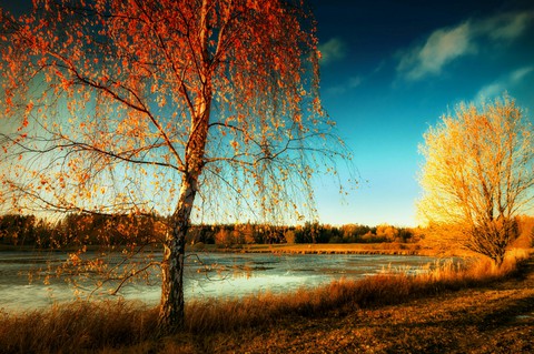#Beautiful Landscape