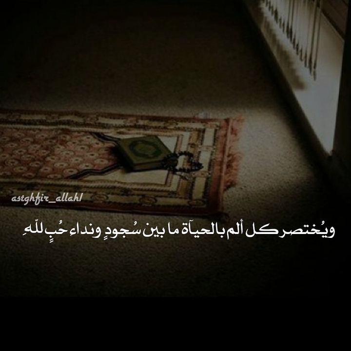 يارب