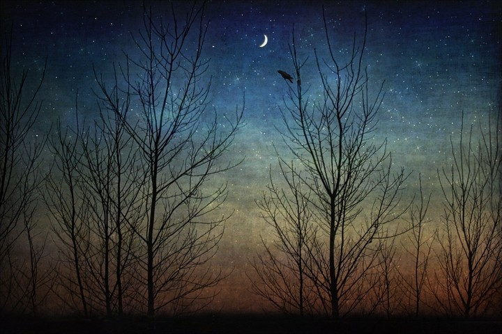 سروشت لە شەودا.....nature in the night