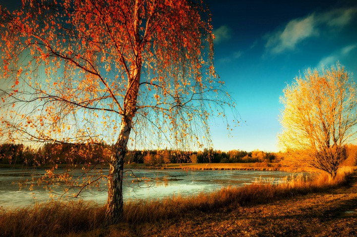 #Beautiful Landscape