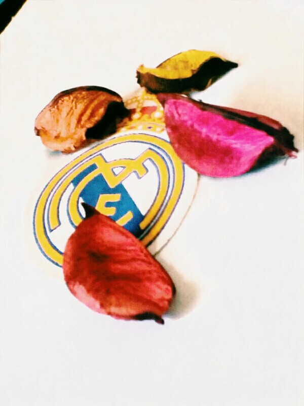 Real madrid《♥¤♡¤♥》love !