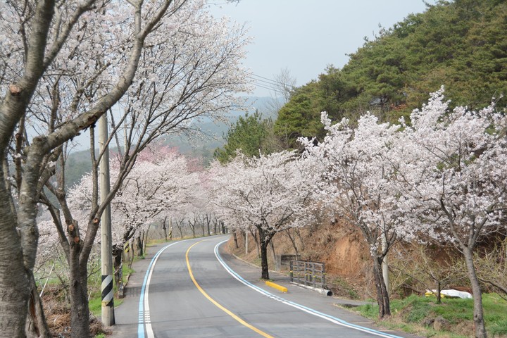 풍경이미지