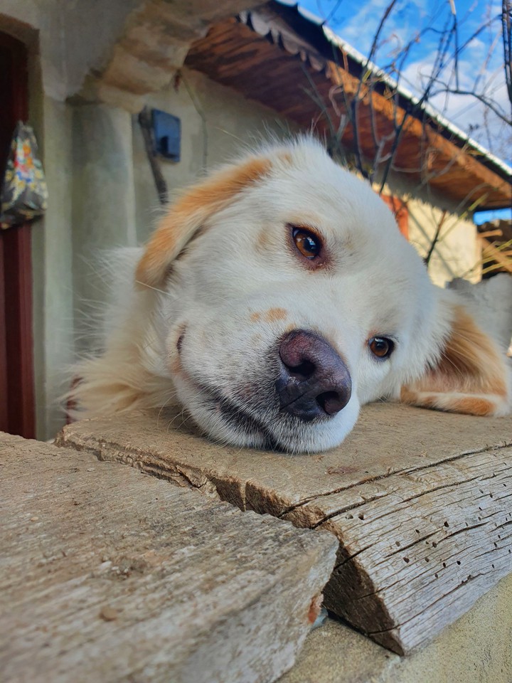 Dreaming about summer