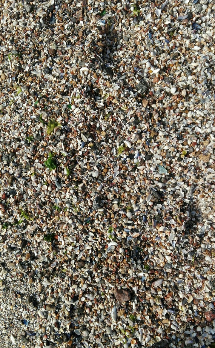 sea
