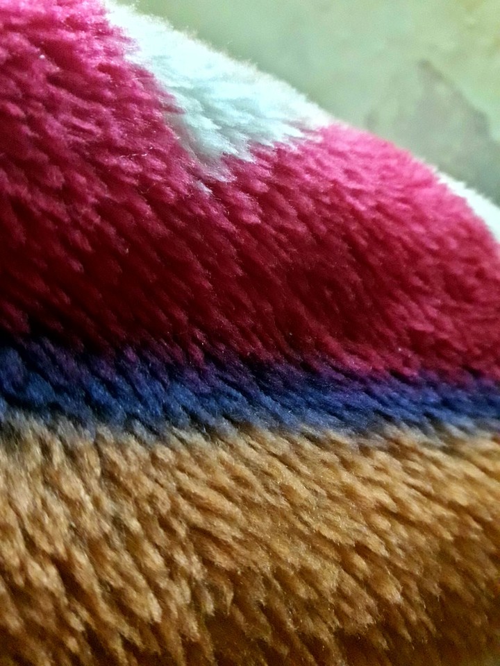 Color