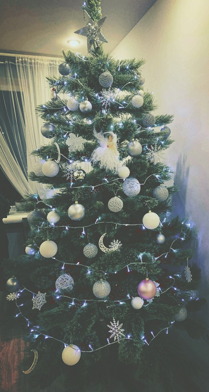 isn't it a miracle ..)