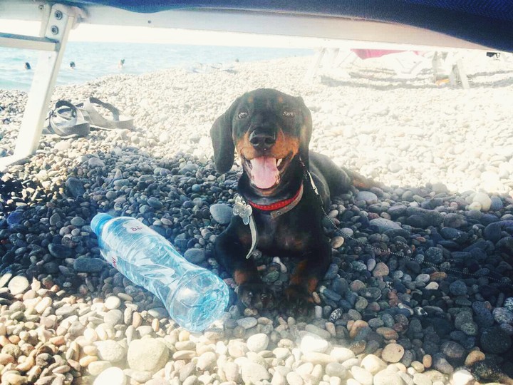 Jung on the Black Sea beach
