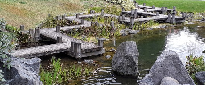 japanese garden