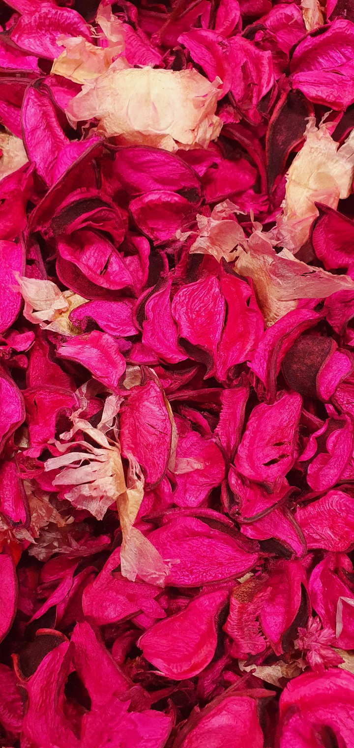 Dried flower Red